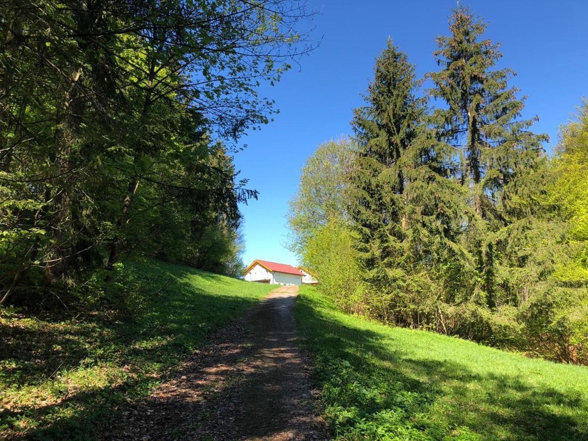 Villa Oachkatzlschwoaf Arnoldstein Exterior foto